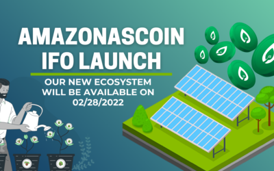 AMZ IFOs Launch
